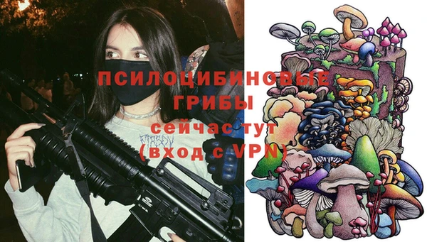 трава Балахна